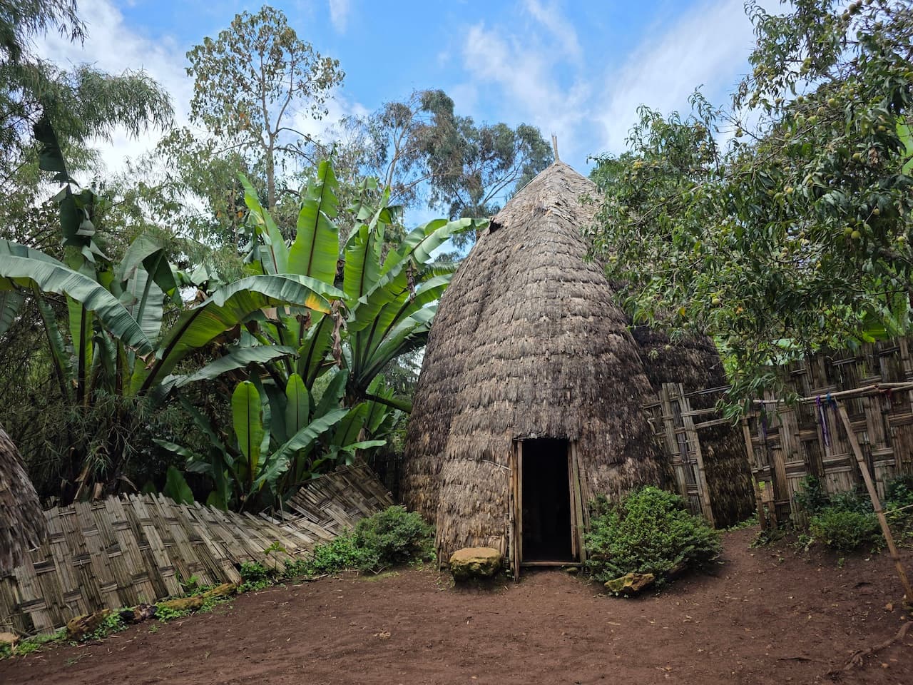 будинки Дорзе