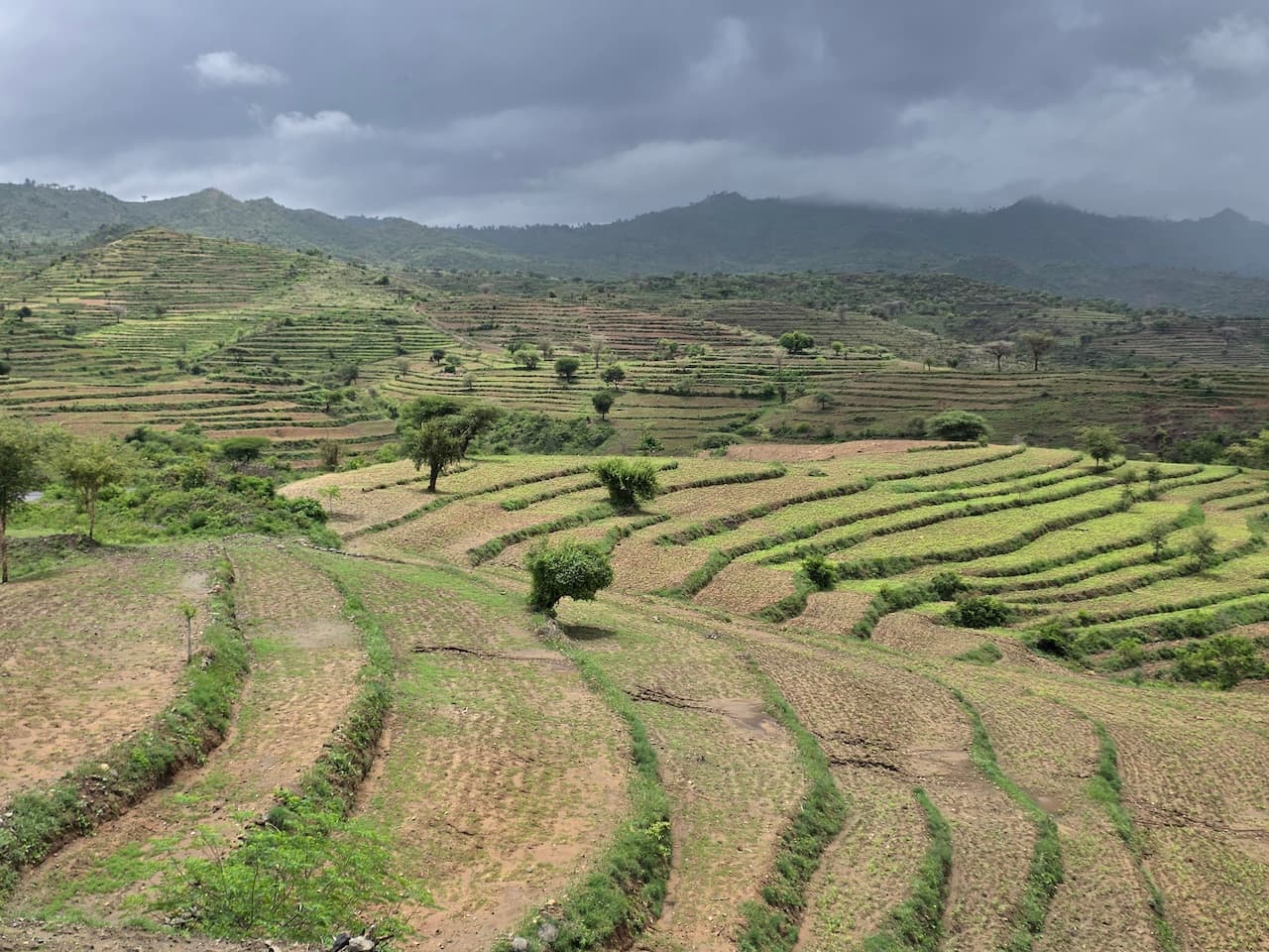 тераси консо в Омо