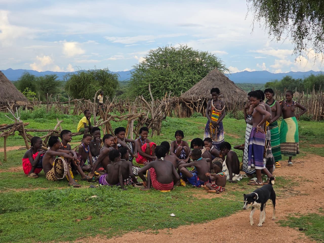 Плем’я Хамер