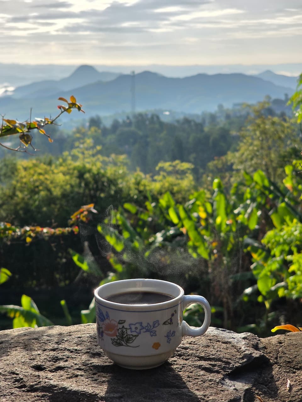 ефіопська кава