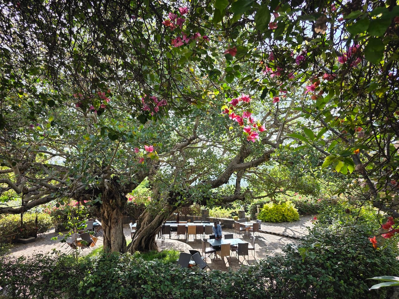 тур в Ефіопію